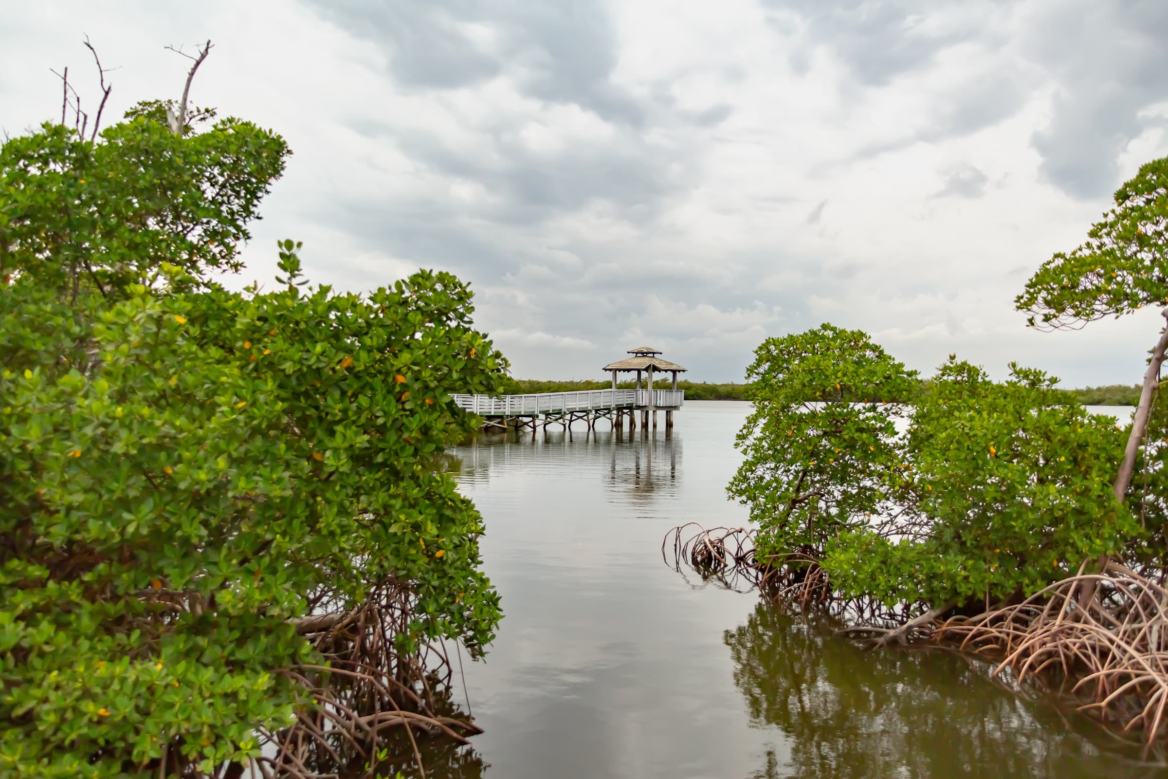 Mangroves and exposed roots frame a stretch of calm water, with a white walkway leading to a small pavilion beneath a cloudy Fort Lauderdale sky.