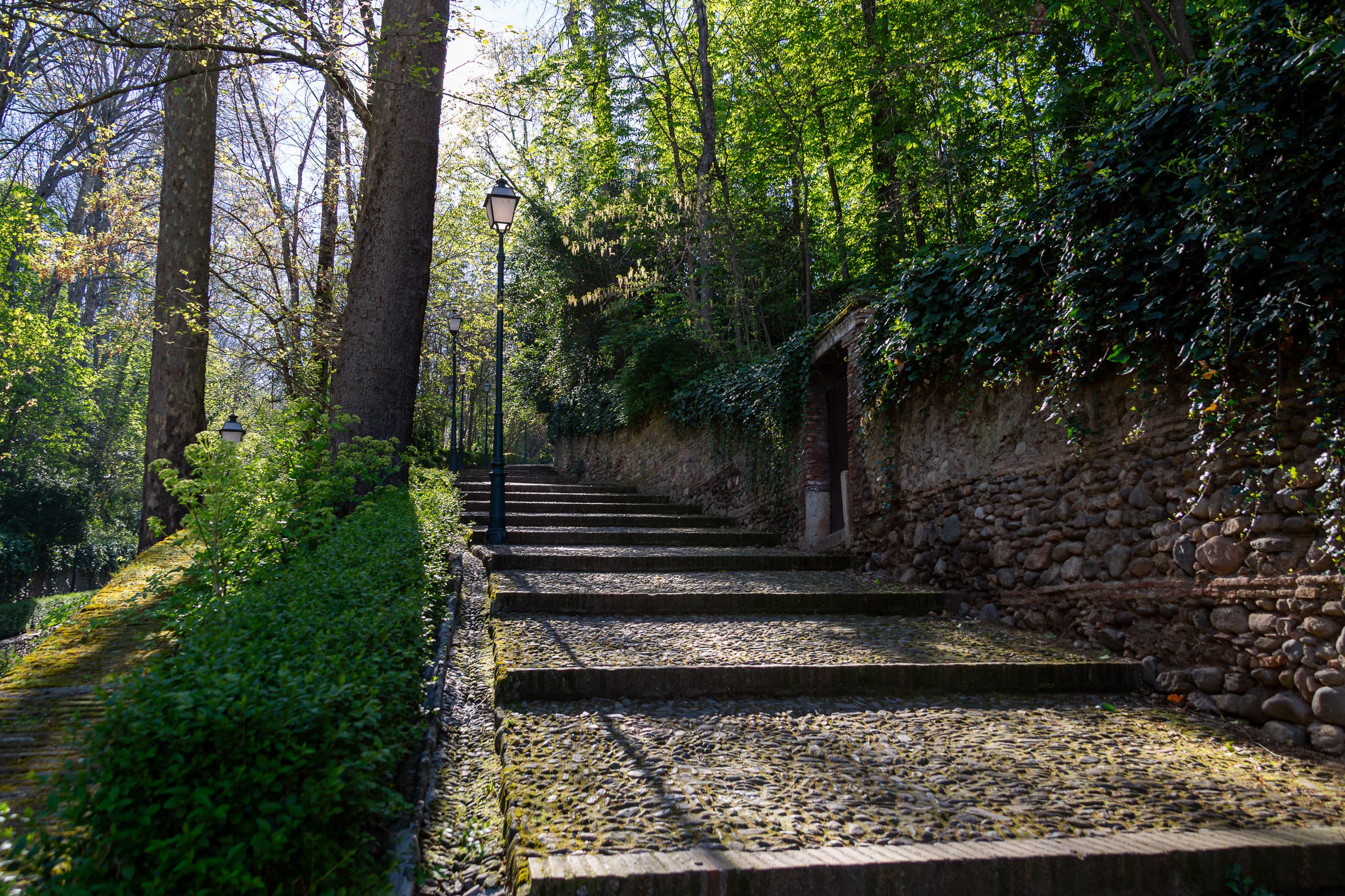 A long stone staircase climbing through trees and dense vegetation on the approach to the Alhambra in Granada, Spain, with traditional streetlamps and an ivy-covered stone wall.