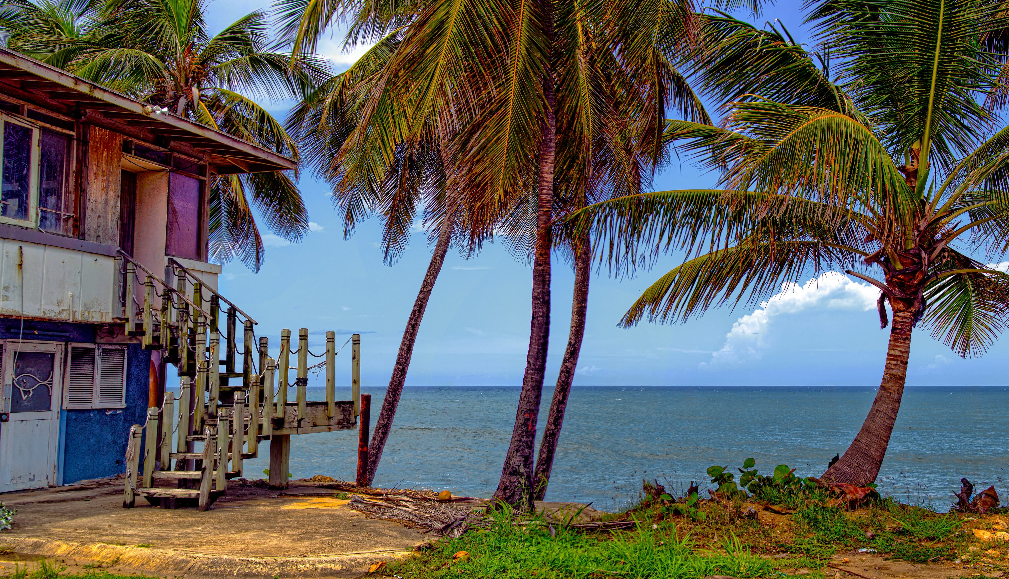 Weathered abandoned house beside the Atlantic coast of Puerto Rico, framed by palm trees and tropical vegetation, titled Echoes of the Coast by Francisco Colón.