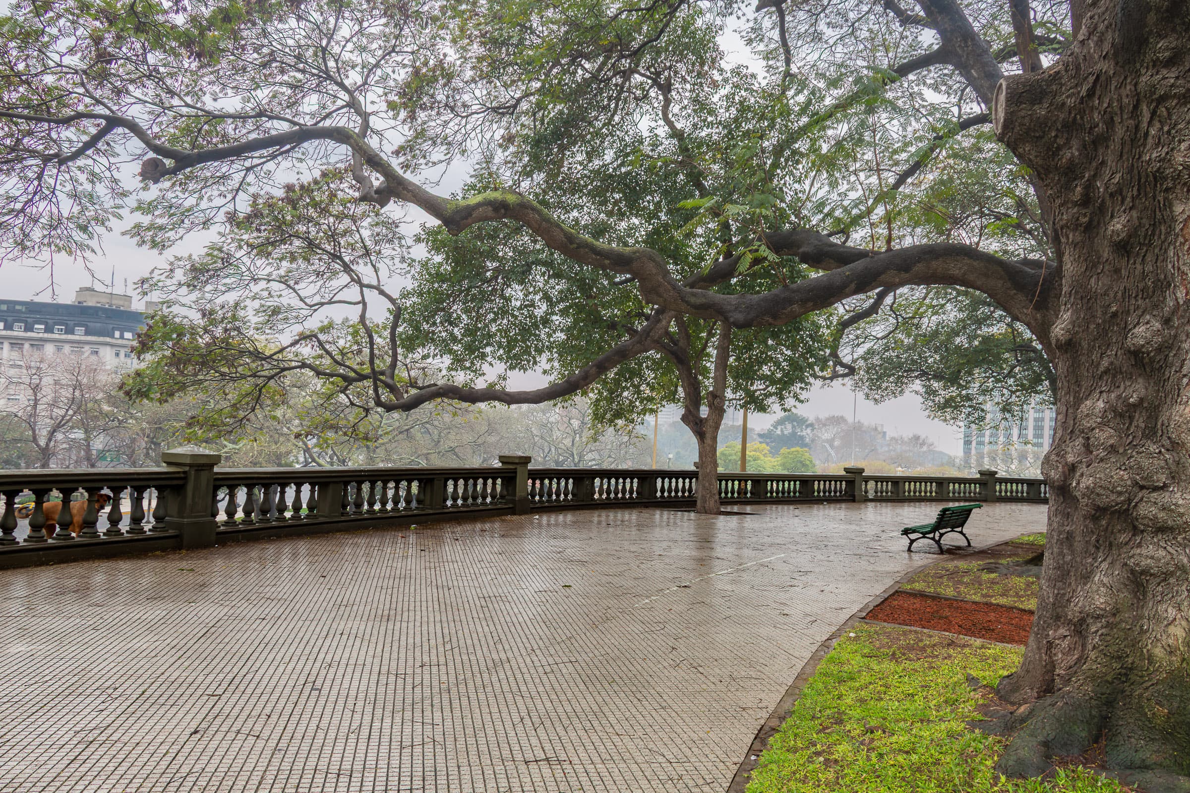An open rain-wet promenade beneath mature trees in Plaza General San Martín in Buenos Aires, Argentina, with a solitary green bench near the balustrade in A Place to Remember by Francisco Colón.