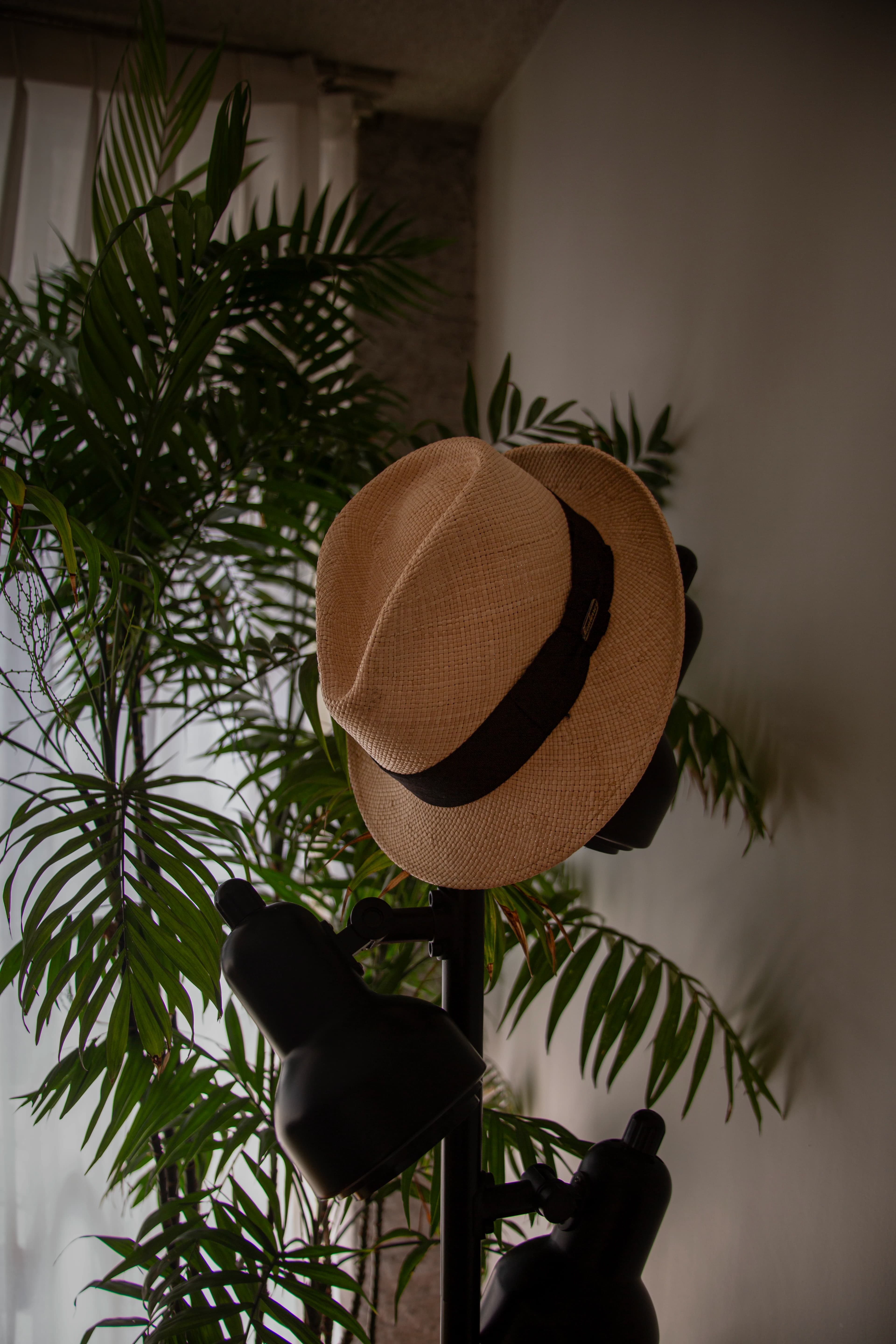 A woven straw hat with a dark band hangs among green indoor plants and silhouetted lamps inside the photographer's Mexico City apartment, illuminated by soft afternoon window light.