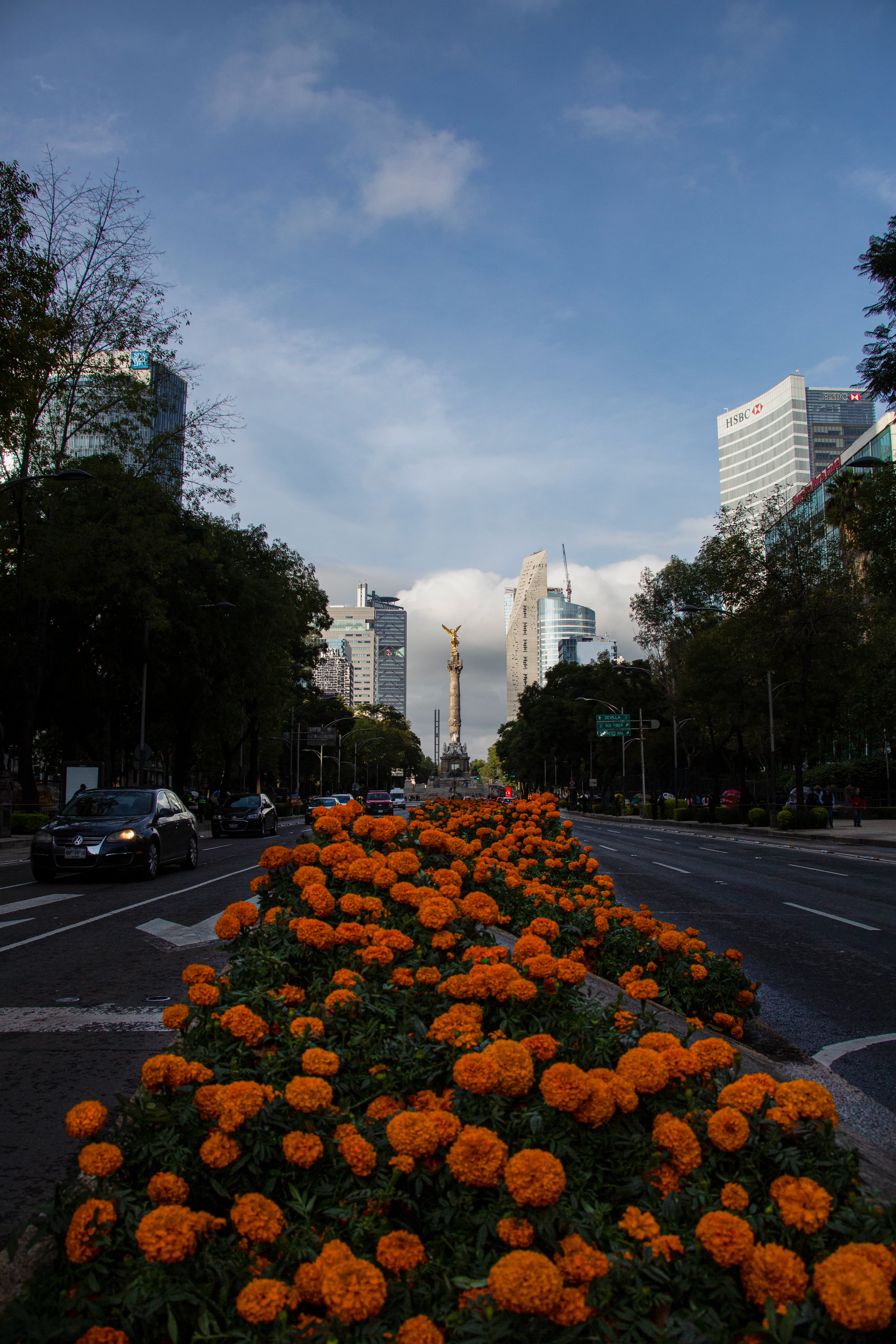 Orange cempasúchil flowers extend along Paseo de la Reforma toward the distant Ángel de la Independencia in Mexico City, with roads, trees, traffic, and buildings creating converging lines of perspective.