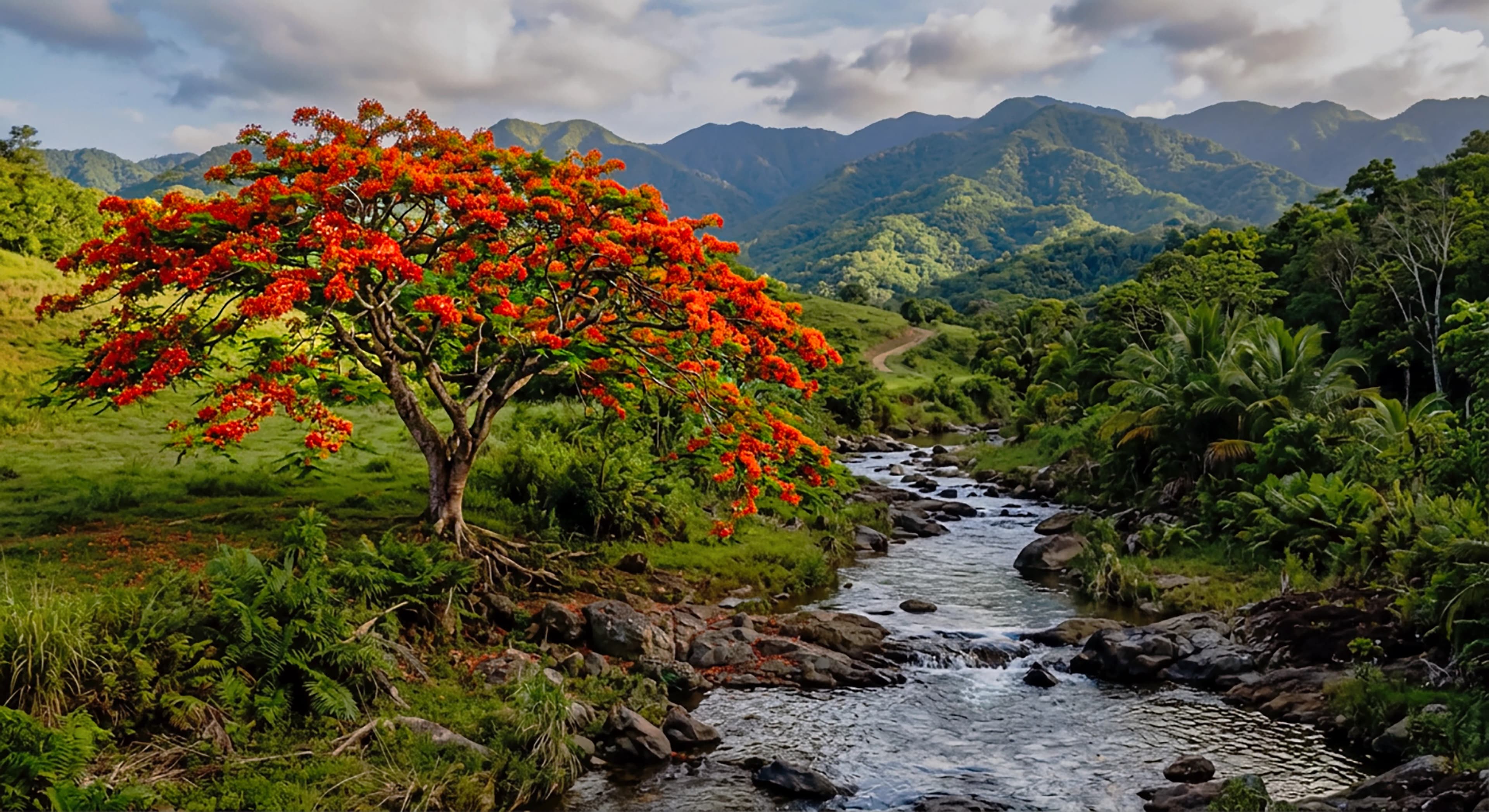 Nature photography exhibition
