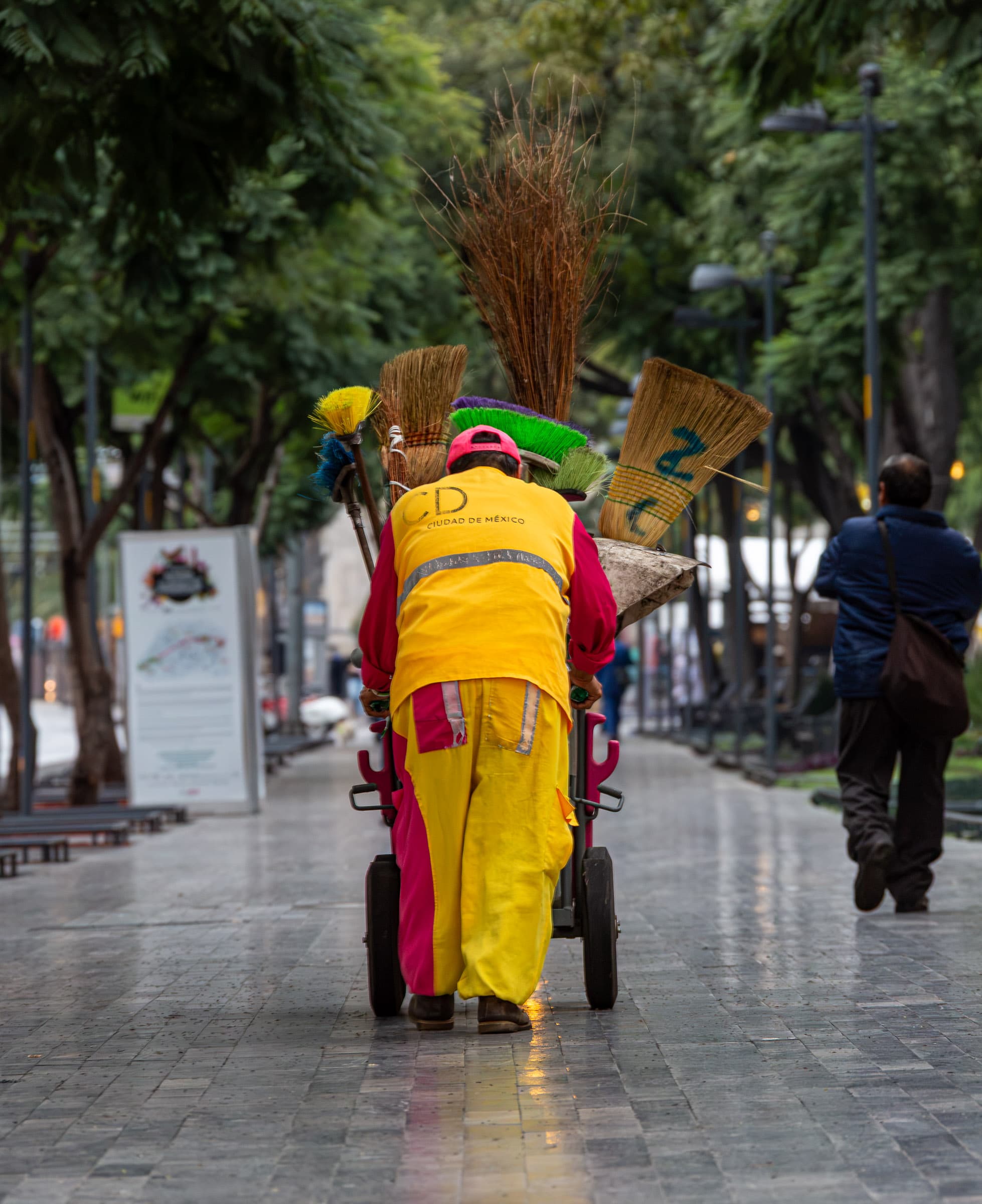 Municipal worker in a yellow and magenta uniform pushing a cart carrying eight different brooms along a tree-lined walkway in Mexico City, photographed by Francisco Colón.